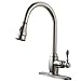 VCCUCINE Solid Brass Single Handle Pull Out Sprayer Brushed Nickel Kitchen Sink Faucet, Higa Arc Pull Down Kitchen Faucet With Deck Plate