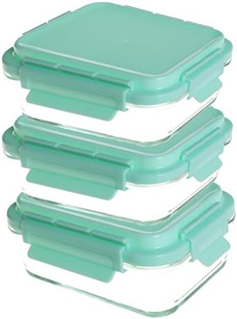 Evolutionize Glass Meal Prep Containers - Food Storage Glass Containers with Snap Lock Lids Meal Prep - Airtight Lunch Containers Portion Control Glass Food Containers - BPA Free Container
