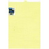 Plastic Canvas 1 Count 10