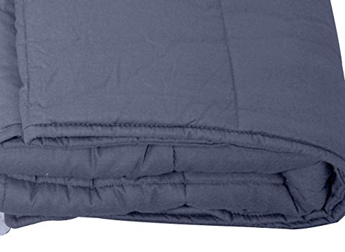 Premium Weighted Blanket with Cover for Adults with Autism, Sensory Processing Disorder or Anxiety Wanting Deeper Sleep - 60"x 80", 15 lbs, Blue & Grey Minky Cover, Cotton Weighted Layer