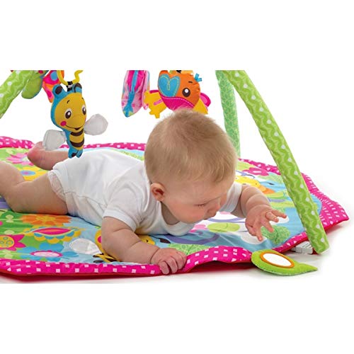 blooming baby activity gym
