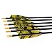 PG1ARCHERY 31-Inch Carbon Arrows Target Practice Hunting Arrow with 4