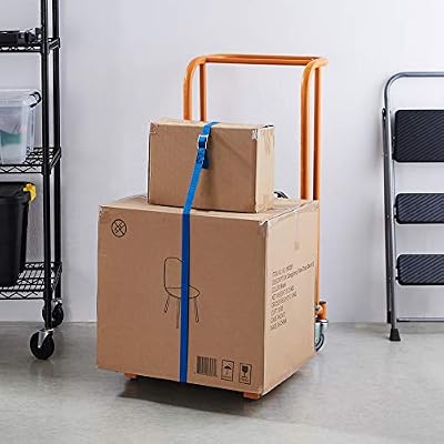 Amazon Basics Tie-Down Straps 25mm x 2.5m 150kg 4-Pack Blue