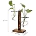 Water Planting Glass Vase,Clear Glass Vase Hanging Plant Terrarium with Retro Solid Wooden Stand for Hydroponics Plants Home Garden