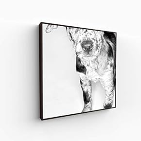 Canvas Wall Art for Living Room, Bedroom Portrait Framed Canvas Prints for Home Decoration Ready to Hang - 16x16 inches