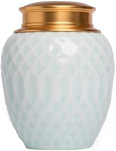 ZHGGG Memorial Recuerdo Urnas De Cremación Azules para Cenizas Humanas