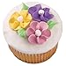 Wilton Cake Decorating Basics, DVD