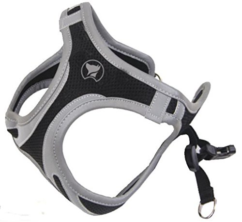 Croci Reflect Hiking Harness, X-Large