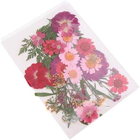 Cuticate ドライフラワー 花材 ドライ葉 押し花 乾燥シート Diy 石鹸 キャンドル 用品 約10個 全6選択 D B085tb4mqy 610円 人気海外一番 100 品質保証 全品送料無料 即日出荷 Sale開催中
