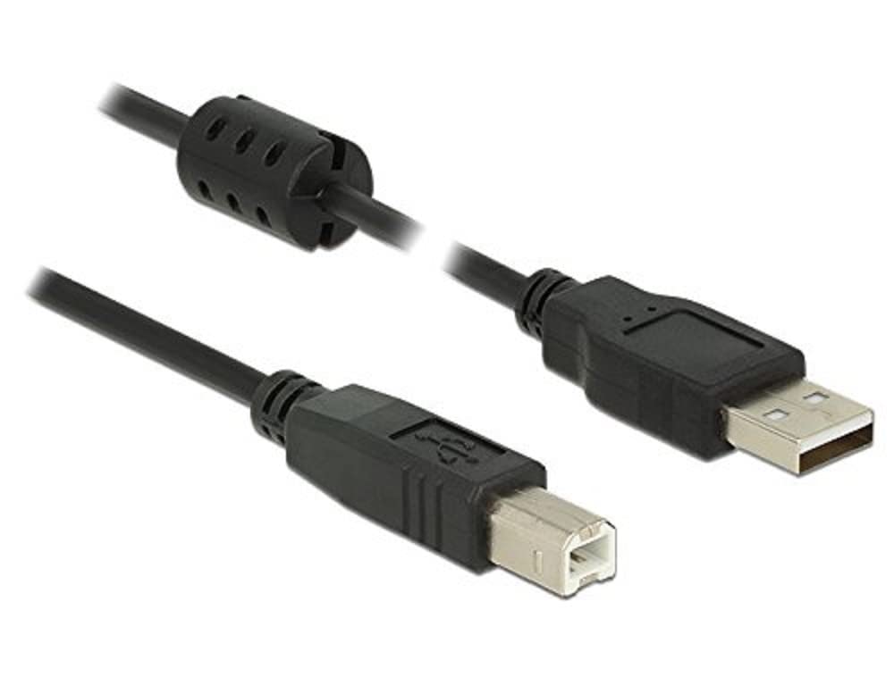DeLock Cable USB 2.0 Type A to USB 2.0 Type B Male 2 m Black