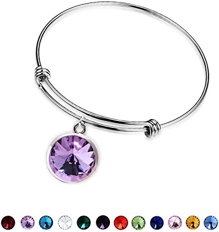 Silver February Jewelry Bangle Bracelet-Stainless Steel Adjustable Amethyst Charm Birthstone Bracelets Birthday Gifts for Women