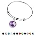 Silver February Jewelry Bangle Bracelet-Stainless Steel Adjustable Amethyst Charm Birthstone Bracelets Birthday Gifts for Women