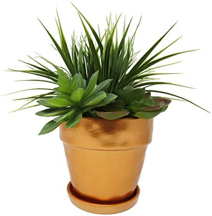 Round Ceramic Planter Pot for Garden Flowers, Cactus Plant, with Drain Hole and Saucer by Ashes To Beauty (Copper)