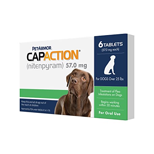 Best Heartworm Medicine For Dogs Dogtime