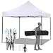 FDW Canopy Tent, Commercial Instant 10x10 Heavy Duty Canopy, 300D Waterproof Adjustable Canopy with Wheeled Carry Bag, 4 Sandbags and 4 Stakes