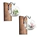 Dahey Wall Glass Planter with Wood Board Rustic Decor Air Plant Holder Hanging Terrarium Wrought Iron Hooks for Indoor Office Home Decorations, Orb 2 Set