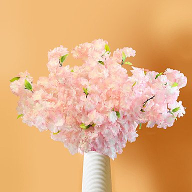 1 Une Succursale Fleur Séchée Cerisier Du Japon Fleur De