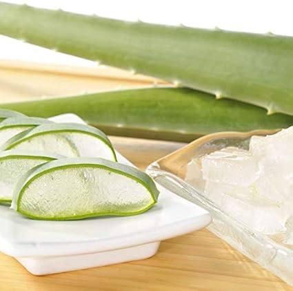 アロエベラ2.5kg