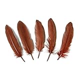 Goose feather,Hgshow 100Pcs beautiful feathers 6-8 inches 15-20 cm, choose color Useful charming