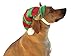 BINGPET Dog Cat Elf Hat for Christmas Party