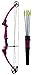Genesis Original Compound Bow & Arrow Kit- Adjustable Riser, 15