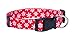 Native Pup Christmas Dog Collar (Medium, Snowflakes)thumb 1
