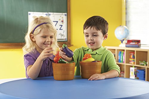 Learning Resources New Sprouts Bushel of Fruit