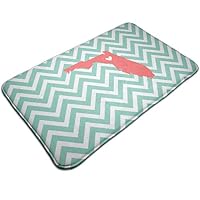 ASHOK ETHAN Large Soft and Absorbent Rugs,Bathroom Rug Mat (30 X 18 Inch) Aqua and Coral Florida Love Chevron Machine Wash/Dry,Floor Mats for Tub, Shower and Bath Room