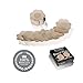 Womens Disposable Nipple Covers Breast Petals 40 PCS No Show Breast Pasties