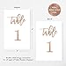 Rose Gold Wedding Table Numbers (Color Options Available), 4x6 Modern Calligraphy Foil Design, Double Sided, Numbers 1-25 (Rose Gold Foil)