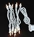 Novelty Lights 10 Light Clear Christmas Craft Mini Light Set, Non-Connectable, White Wire, 5.5' Long