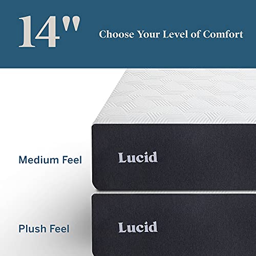 Plush Bed In A Box Canada at Craig Layman blog