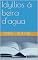 Livro Idyllios á beira d'agua