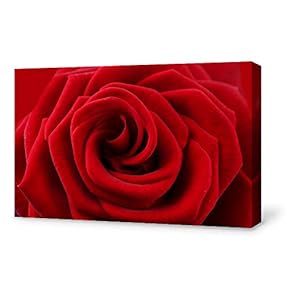 Canvas Wall Art for Living Room,Bedroom Home Artwork Paintings Close-up of Flower Ready to Hang - 12x18 inches