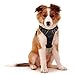 rabbitgoo Adjustable Dog Harness No Pull Reflective Vest with Handle High Visibility Reinforced Straps Easy Control Harness (Large, Black)