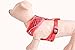 PUPTECK Soft Mesh Dog Harness and Leash Set Pet Puppy Cat Comfort Padded Vest No Pull Harnesses, Deep Red, M