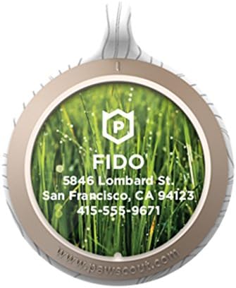 Personalized Pawscout Smart Tag for Dogs and Cats - White &amp; Gold with Grass Nameplate
