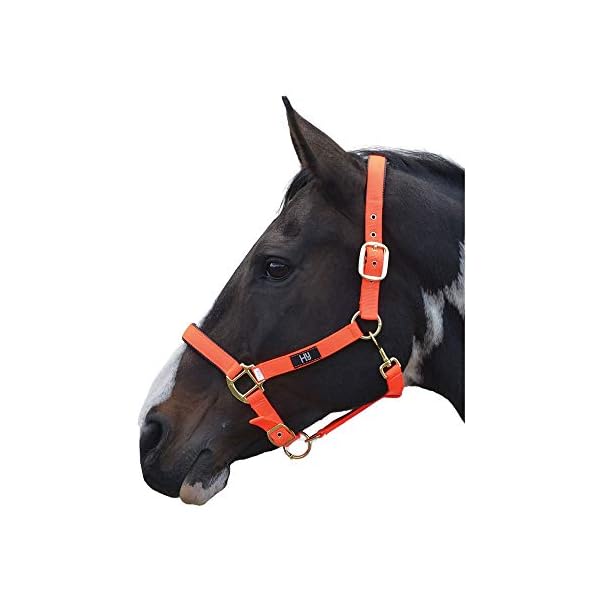 Hy Grand Prix - Cavezza