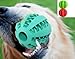 EXPAWLORER Big Dog Toy Ball, 9.5