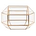 Koyal Wholesale Geometric Glass Wedding Card Box, Rose Gold Wedding Reception Drop Box, Terrarium Glass Planter