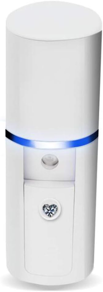 HAOCHIDIAN Nano Cool Mist Sprayer Ionic Facial Mister Portable Mini Facial Steamer Handheld Humidifier Rechargeable Beauty Instrument for Pores Skin Care Moisturizing