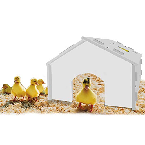 GOOD MOTHER Chick Heater lamp Chick Brooder Duckling brooder Heat lamp