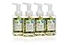 CleanWell Natural Antibacterial Foaming Hand Soap - Spearmint Lime, 9.5 Ounce (Pack of 4)