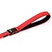 Illumifun LED Dog Leash, USB Rechargeable Light Up Dog Lead, 47.2inch Nylon Glowing Pet Leash for Your Night Dog Walking (RedⅠ)