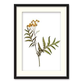 Black Paper Framed Canvas Wall Art for Living Room, Bedroom Simple Beautiful Leaves Canvas Prints for Home Decoration Ready to Hanging - 23x31 inches