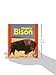 Mighty Bison (Pull Ahead Books ― Animals)