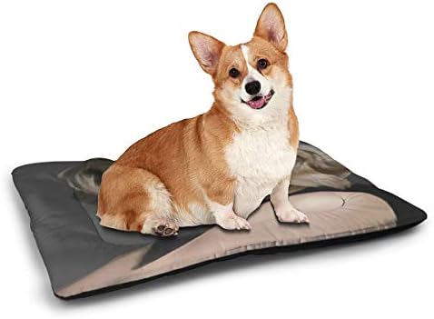 大特価 ペットクッション 犬 猫 ベッド マット ステップ ベッドマット テイラースウィフトtaylor Swift キャットタワー ハウス ソファ チェア ペットクッション31 X21 メーカー直販感謝価格