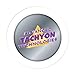 35mm Tachyonized Micro-Disks 3-Pack - Tachyon Healing & Energy Enhancer - Powerful Body Treating Disks