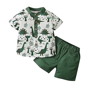 WangsCanis 2-delige jongens-kledingset peuters baby jongen korte mouwen crop top dinosaurus beachwear T-shirt casual…
