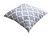 TreeWool Trellis Accent Spring Summer 18x18 Set of 2 Decorative Throw Pillow Covers 100% Cotton Home Decor Pillowcases for Sofa Couch (Silver Gray)